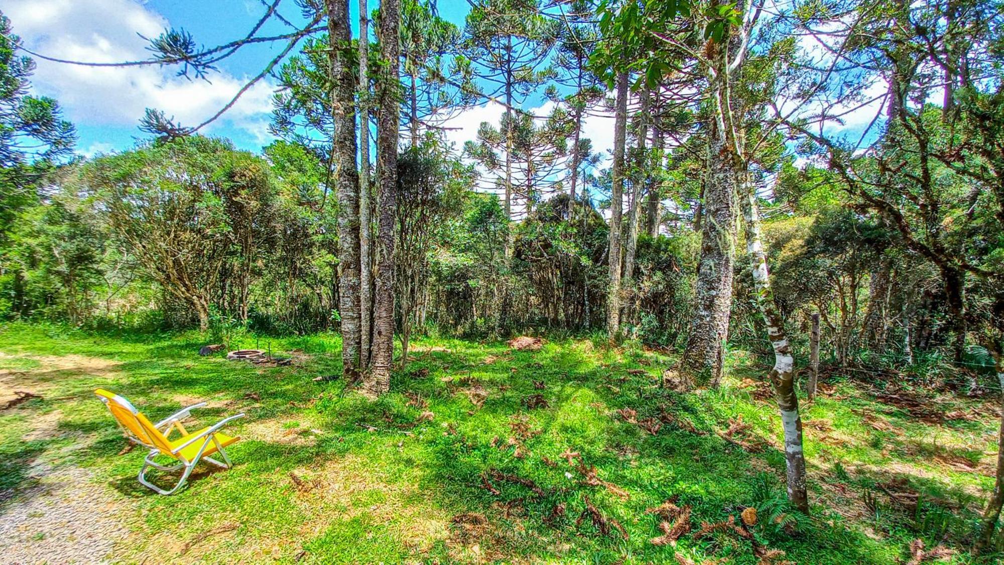 Cabana Na Floresta Rincao Do Fortaleza Cambará Eksteriør billede